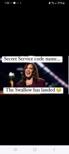 Messenger_creation_9ea14971-9a95-4bba-b757-99689274af37