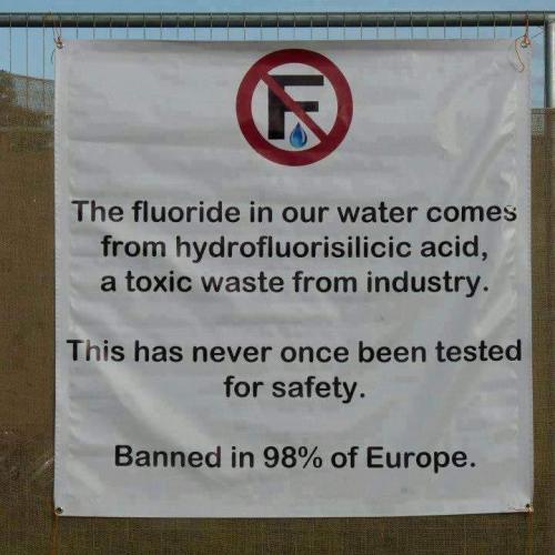 fluoride toxin