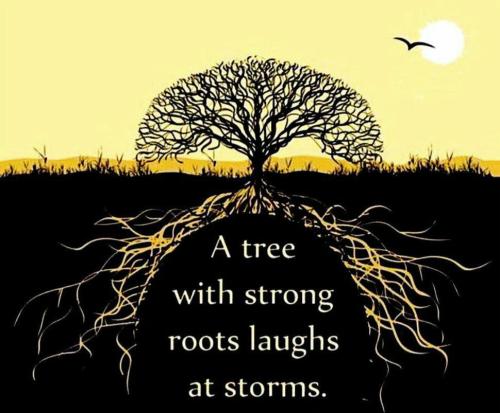 IMG_20240714_210104_658