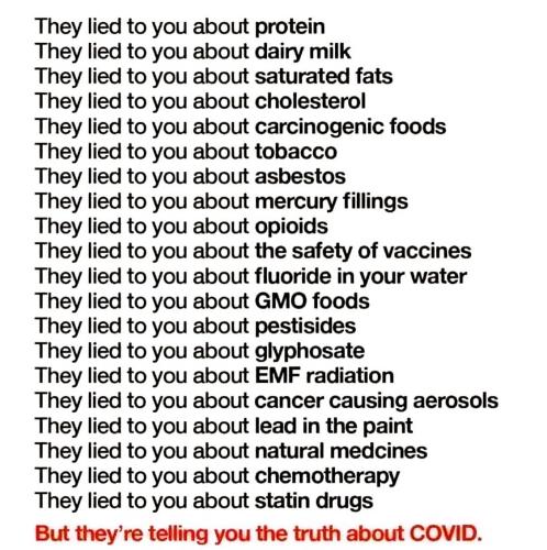 IMG_20240728_050231_981