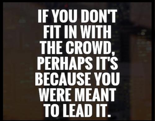 1-Leadership - It Okay Not to Fit In!
