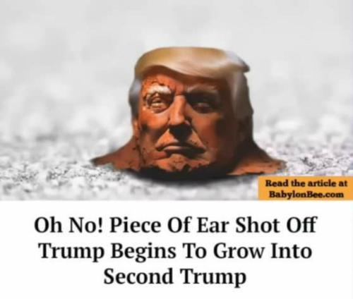 image_0DA2A4D7-0FA6-464E-B614-5198EFE9F6D9