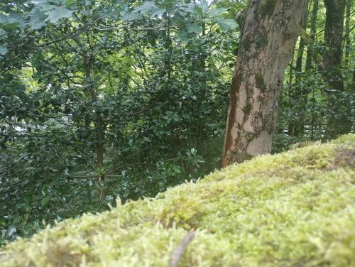 IMG_20240716_123813234