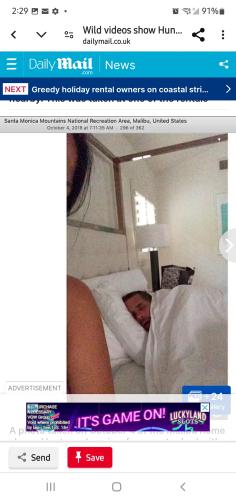 Screenshot_20240711-142912_Chrome