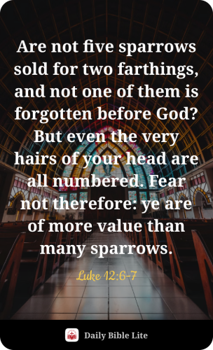 FAITH - Luke 12.6-7