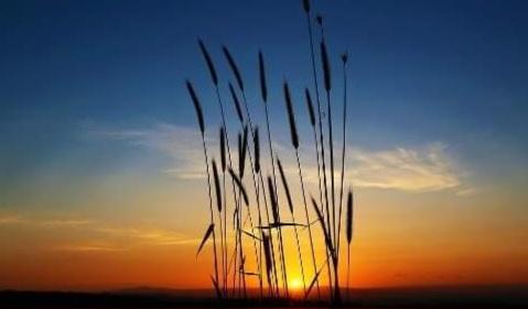 395835cd-6ace-488d-8dd8-abd19a74af2e