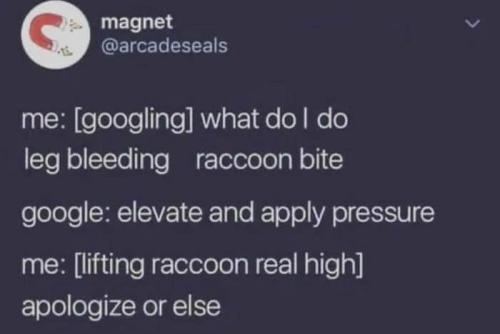 image_7242BD00-EB27-4928-A6BA-450270969EFC