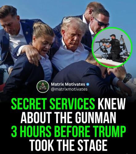 Screenshot_20240719_114827_Instagram