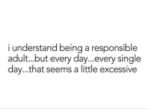 08:12:10 GMT-0500 (CDT)