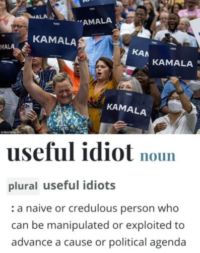 Useful idiots Kamala.960px