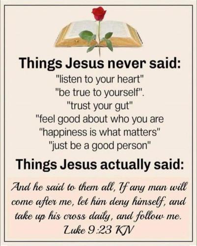 809dda7b-f0ce-46d9-afaa-017176c02566