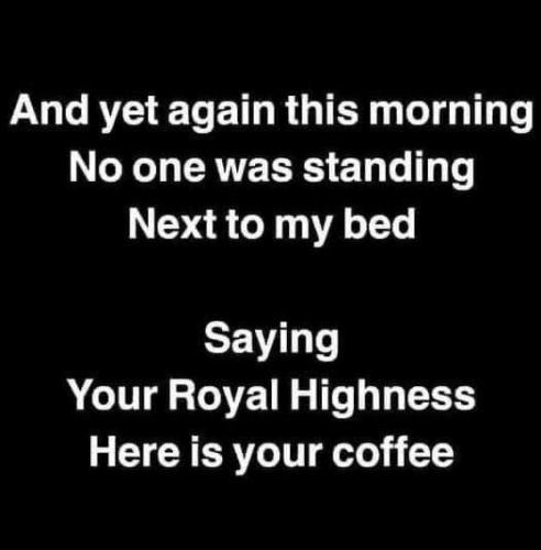 450093746_122096199200410480_7360775895711958576_n