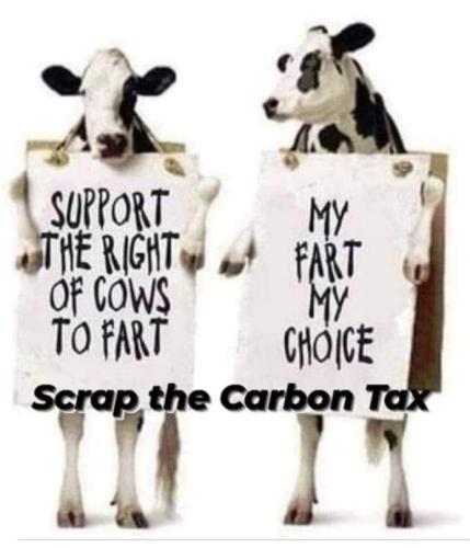 IMG_20240708_114705_637