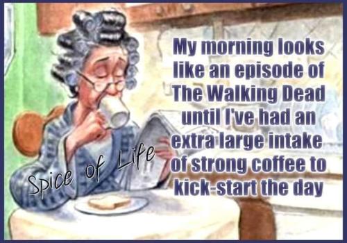 450099052_8312745688749912_3256123513414356091_n