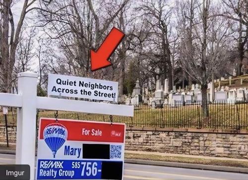 453399584_122175993530059367_4513324747391036194_n