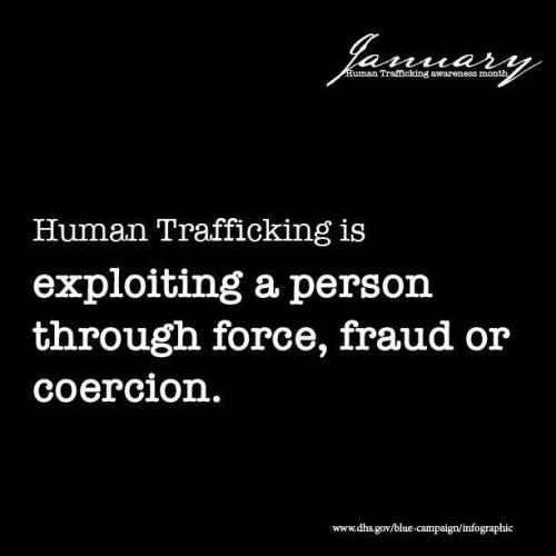 IMG_20240724_094103_935