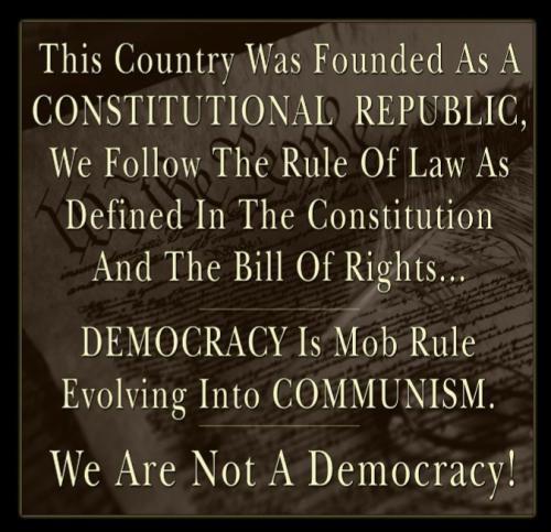 Screenshot_20240729-091407_Wimkin Free Speech Social Media