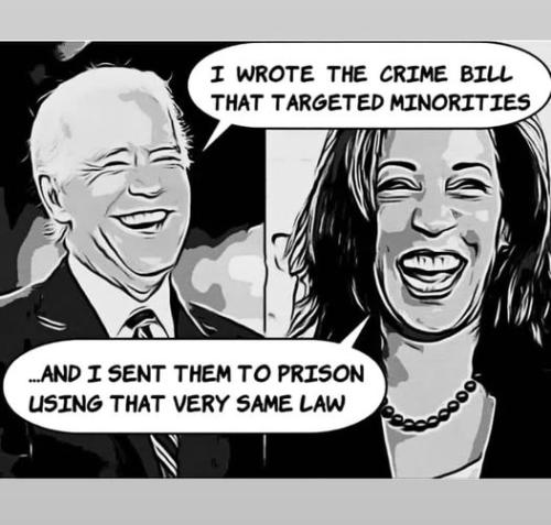 biden kamala crime bill