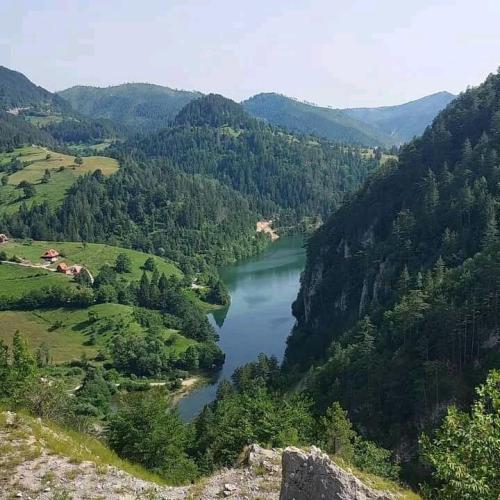 img-70247d38