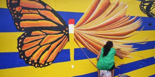 kamala harris dream act