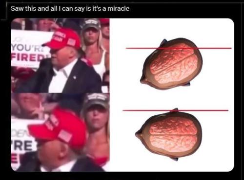 xephula_9d5a1155393fa1f23599008298ec0eea