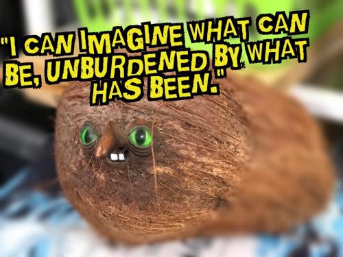 b42a819c-bb1b-4019-9208-6d16abb33719