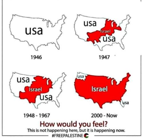 Screenshot_20240724_112810_Wimkin Free Speech Social Media