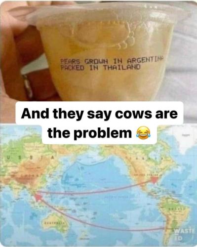 Screenshot_20240704_191349_Instagram