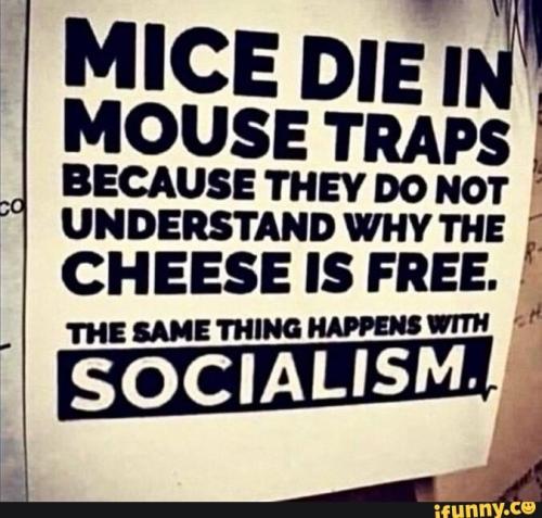 26c742ce-ed94-4db8-8d9e-310b0990d42b