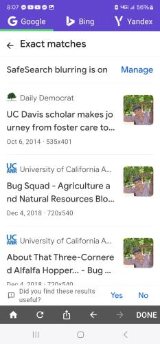 Screenshot_20240715_200748_Image Search