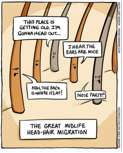 hair migration