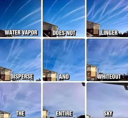 entire