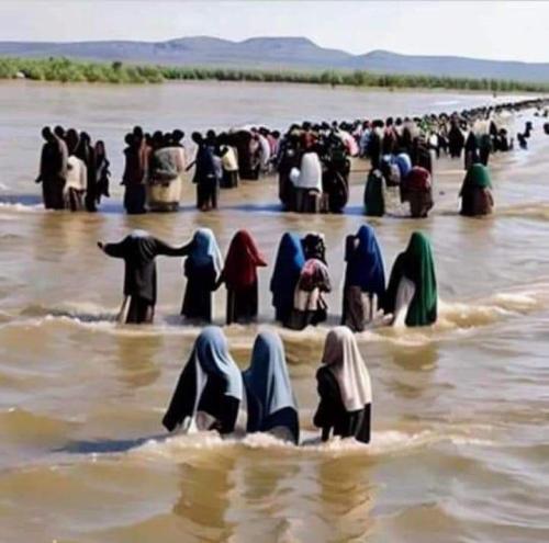 IMG_20240724_111225_413