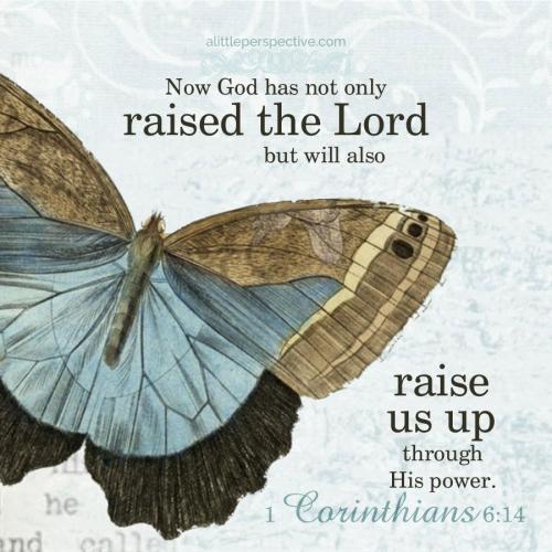 FAITH - 1 Corinthians 6.14