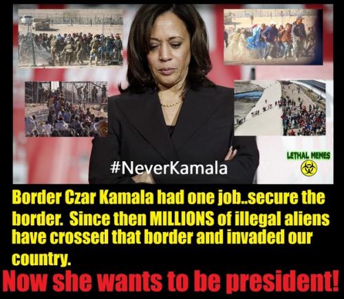 KAMALA BORDER CZAR