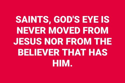 24df1f13-523b-4d5e-9d3c-d1e316f4e0c2