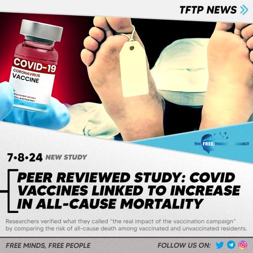 45343513123123121312