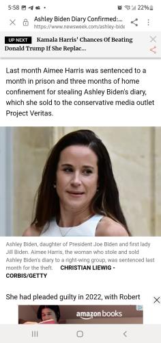 Screenshot_20240702-175844_Samsung Internet