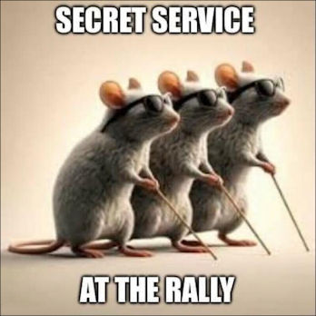 assassination attempt31