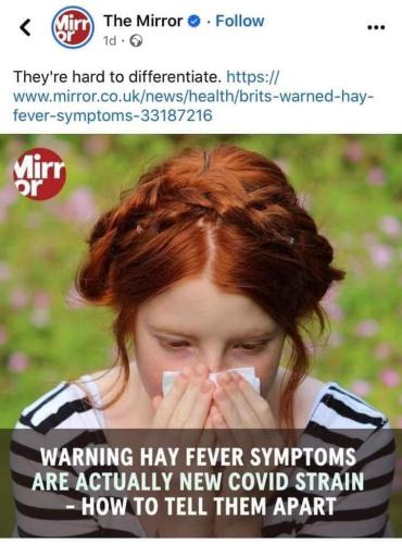 hay fever