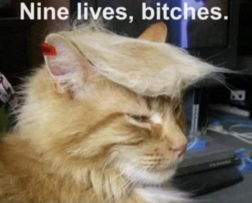 Messenger_creation_8a0821ae-ab59-469b-b9df-1349602fd96a