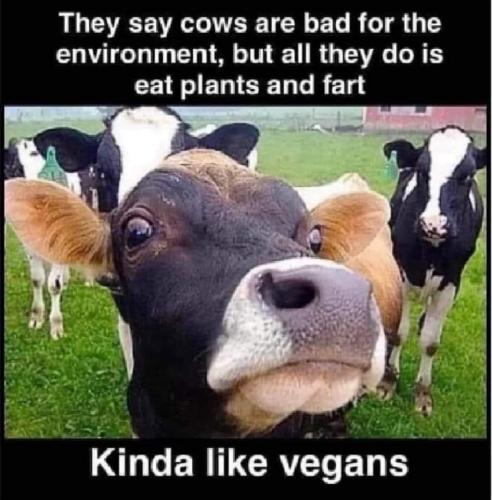 FB_IMG_1722014775179