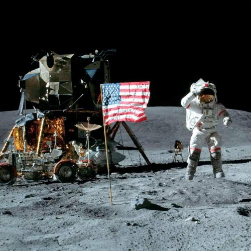 d83dad7e-ae1a-42b2-8788-7d2885fd974c