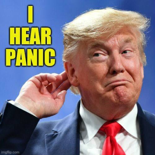 9ca44b28-7202-4874-892d-33ce115b85c7