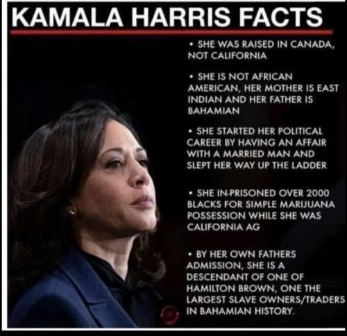 IMG_20240721_210109_278