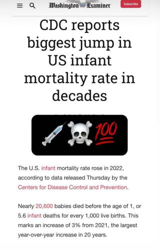 photo_2024-07-28_21-32-10