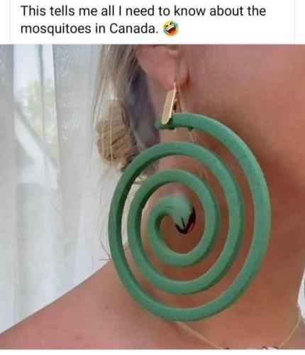 mosquitos in Canada