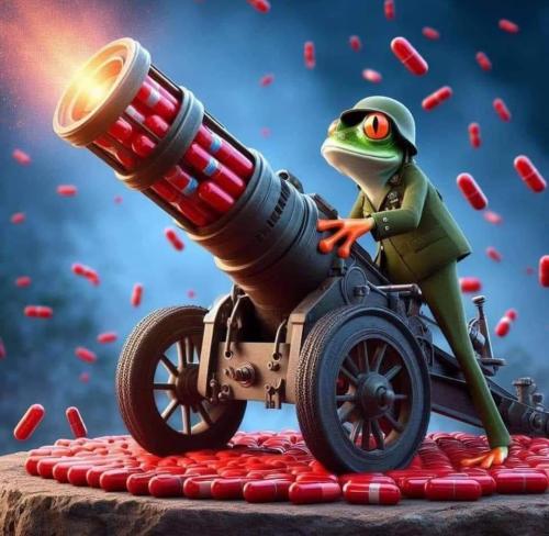 FB_IMG_1721008708432