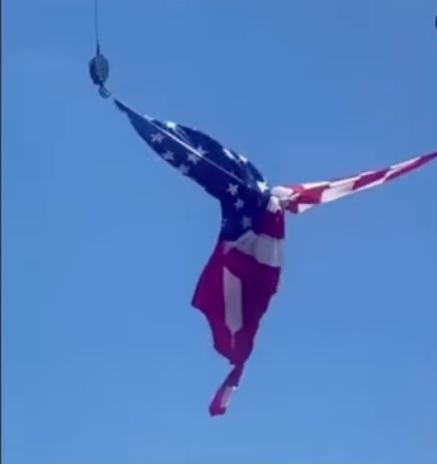 8343242a-f065-4ee1-b1fe-acde8b489eb1