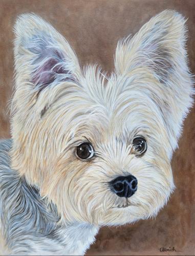 Screenshot_20231001_172333_Photos